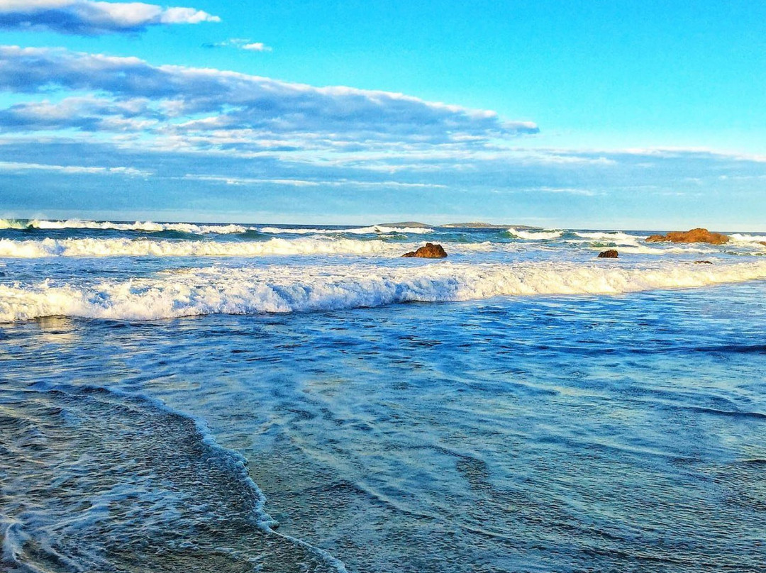 Narooma Surf Beach-纳鲁马必去景点