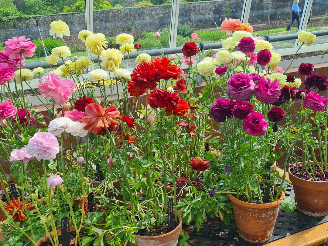 Dyffryn Gardens-St Nicholas必去景点