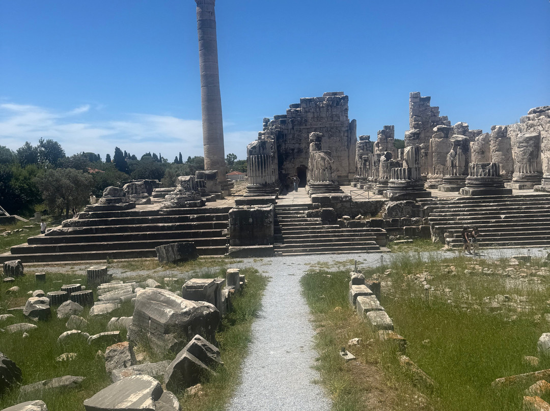 Temple of Apollo-迪迪姆必去景点