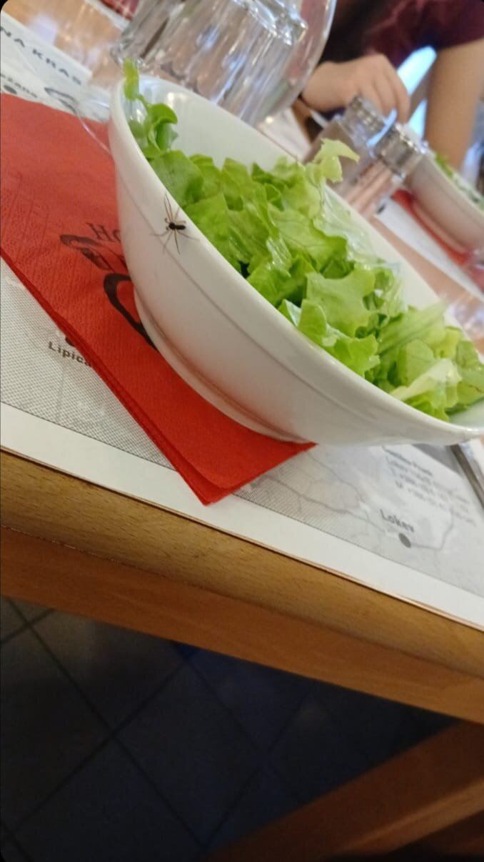 塔博尔酒店-旅行者