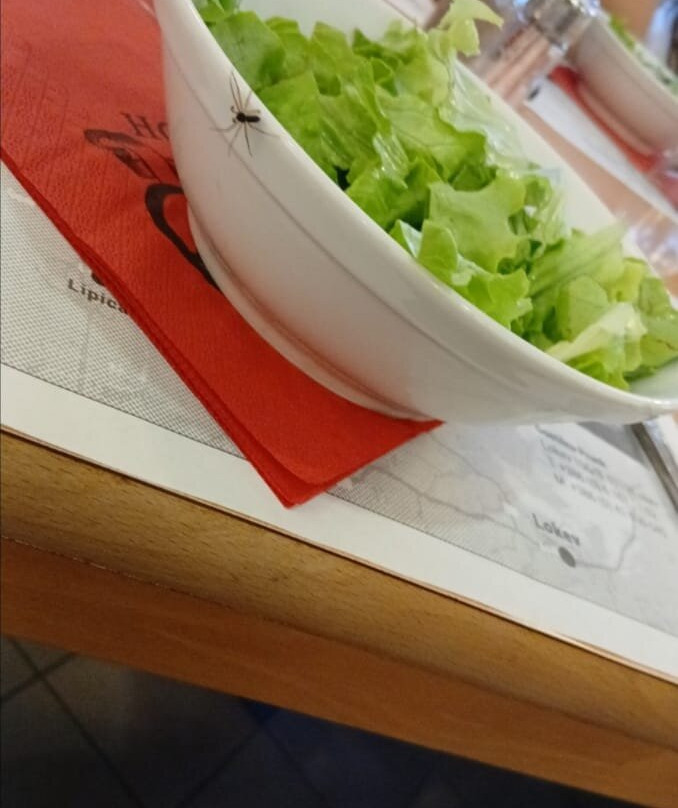塔博尔酒店主图