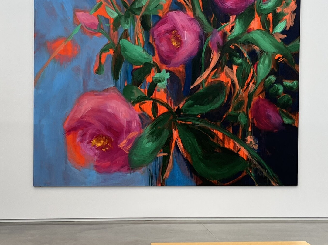 Center for Maine Contemporary Art (CMCA)-罗克兰必去景点