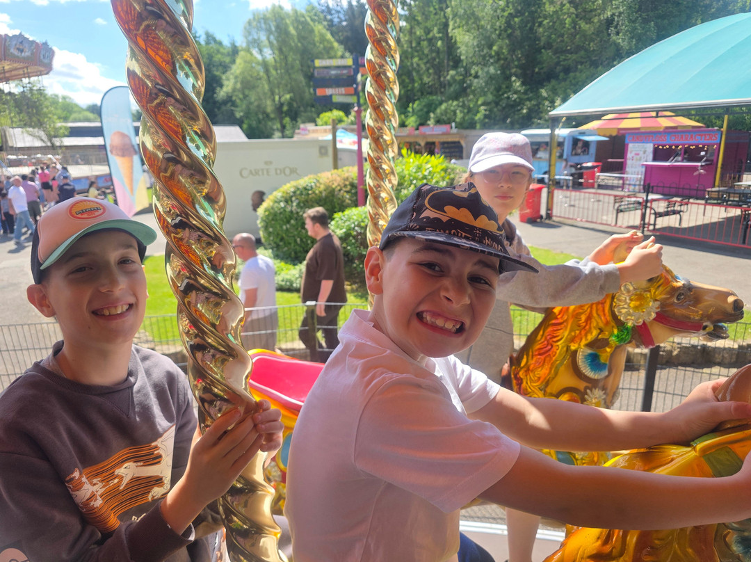 Lightwater Valley Family Adventure Park-North Stainley必去景点