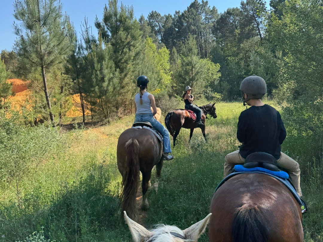 Provence Hipposervices-Saint-Saturnin-les-Apt必去景点
