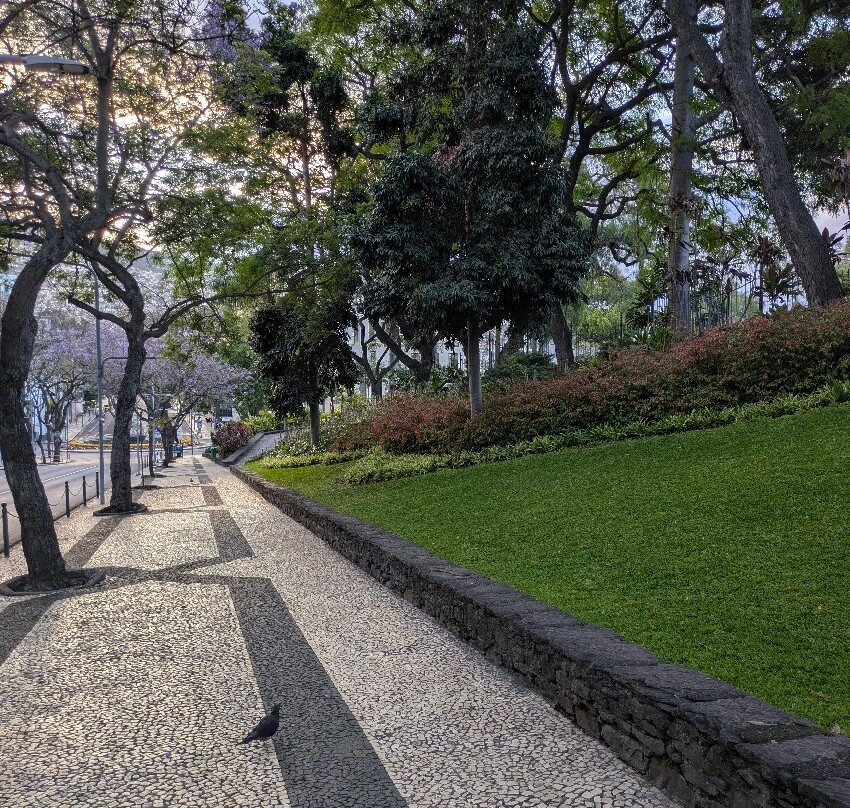 Parque de Santa Catarina-沙尔必去景点