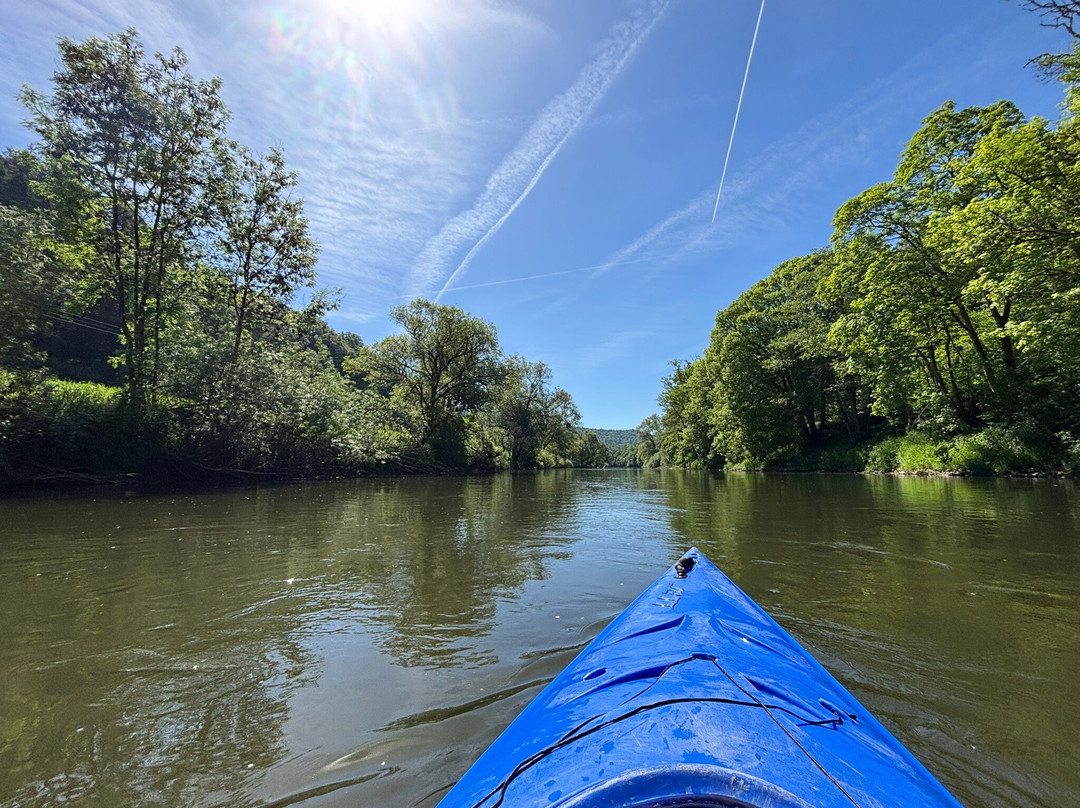 Ronn's Bikes and Kayaks-Wallendorf Pont必去景点