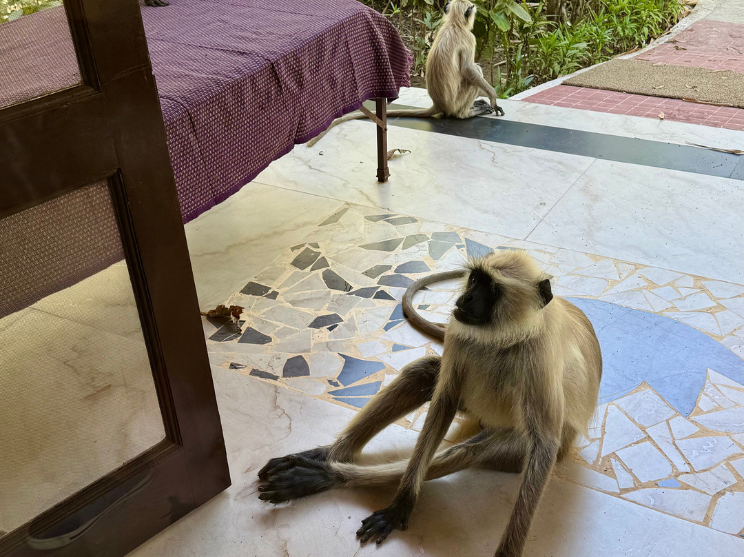 奇特婉丛林小屋主图