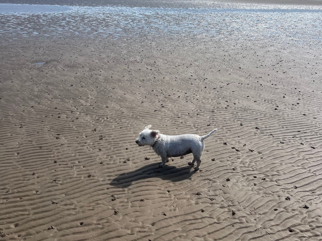 Ostel Bay Beach-Tighnabruaich必去景点