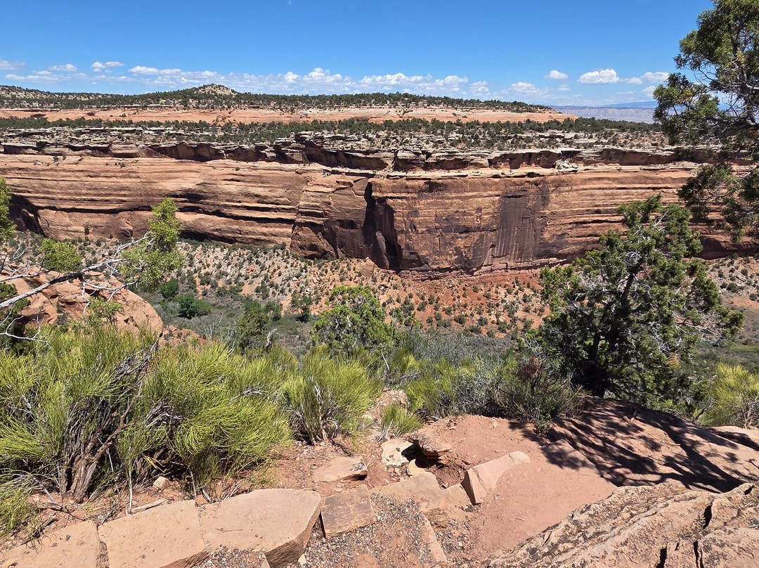 Colorado National Monument-科罗拉多必去景点