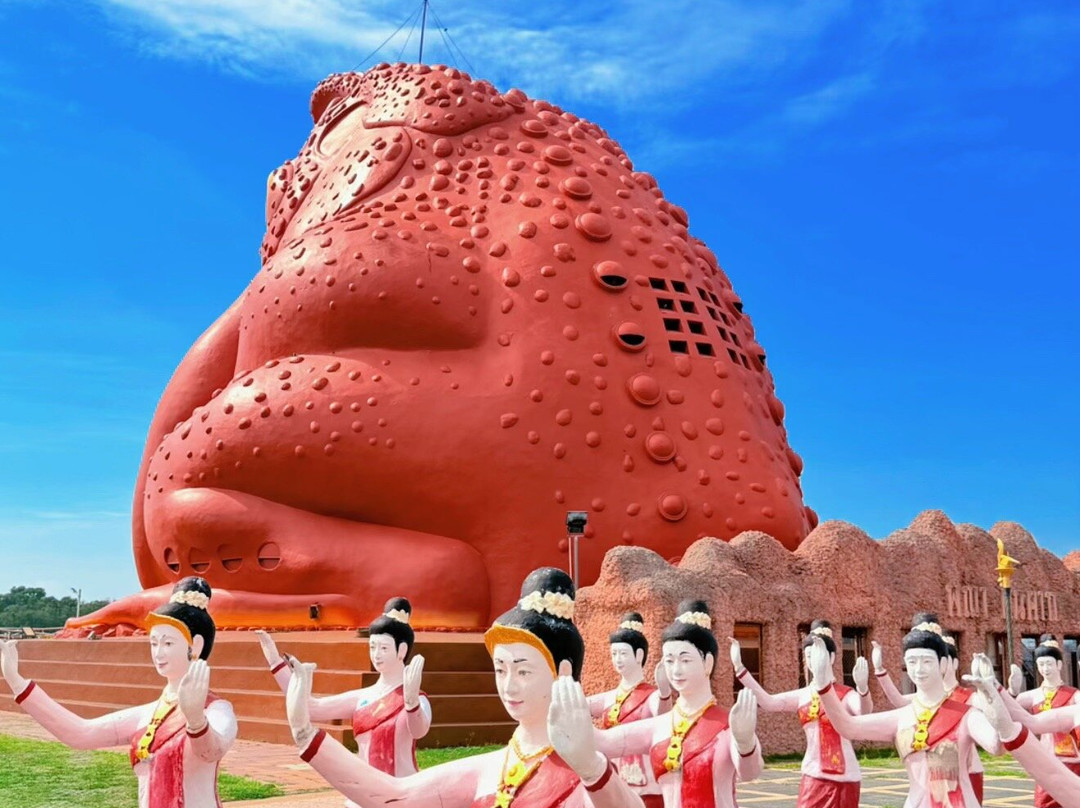 The Toad Museum-也梭吞必去景点