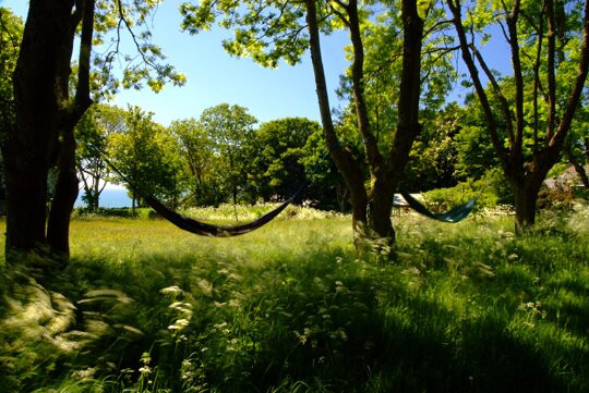 Gayles Retreat: Walking, Yoga, and Meditation-Friston必去景点