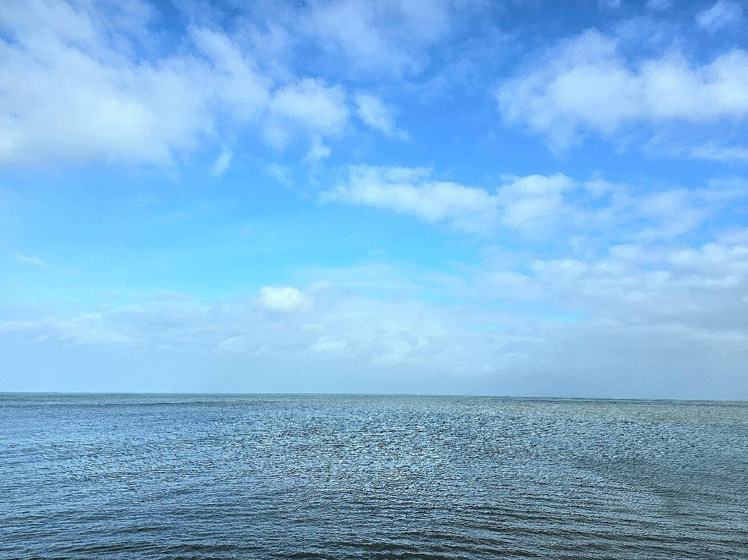 New Quay Beach. Wales-纽基必去景点