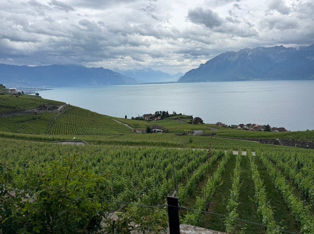 Domaine Bovy-谢布尔必去景点