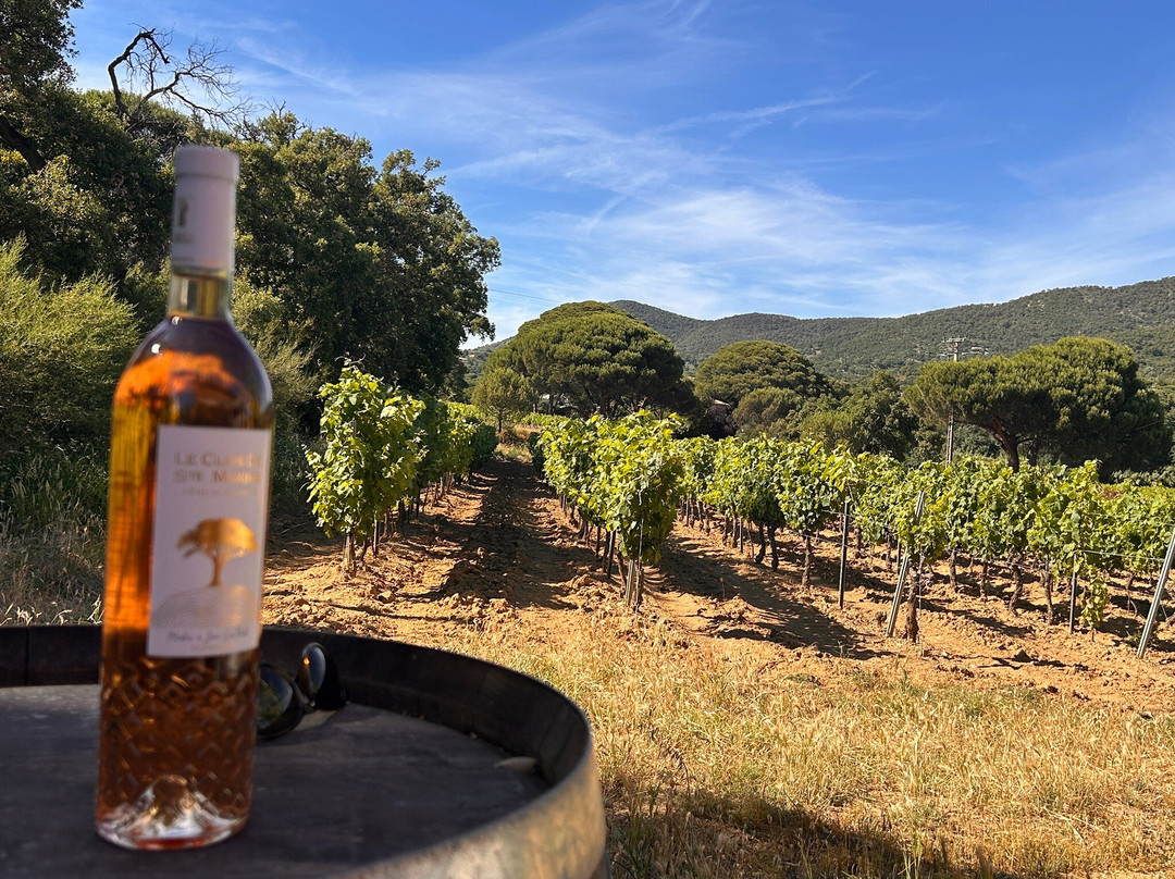 Le Clos De Sainte Maxime-圣马克西姆必去景点