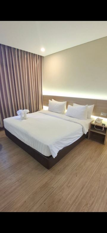 巴顺丹公约大酒店-旅行者