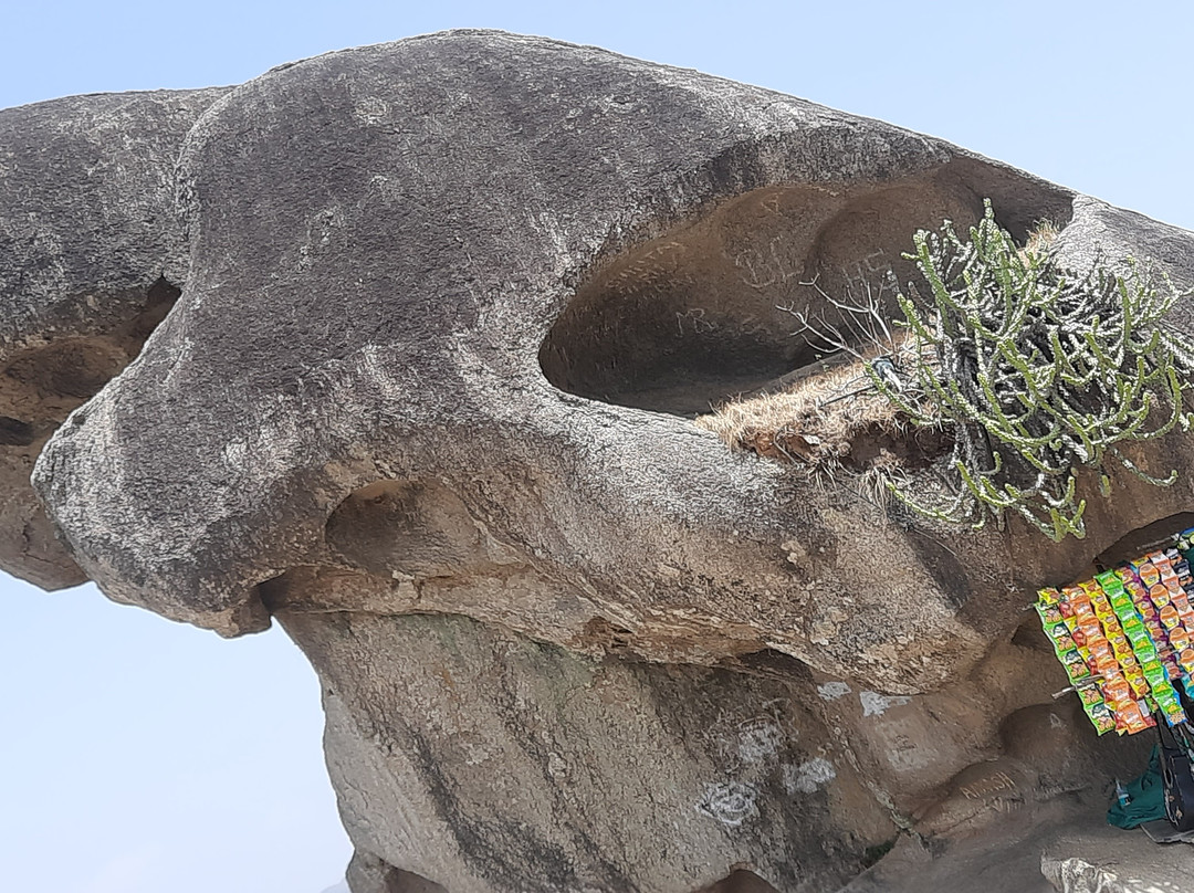 Toad Rock Mount Abu Rajesthan