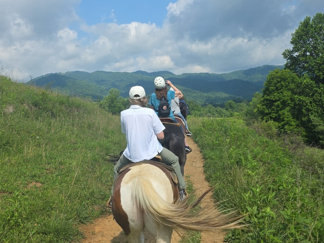 Sandy Bottom Trail Rides-Marshall必去景点