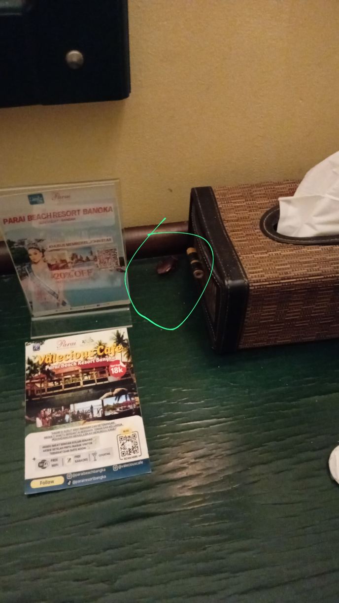 邦加帕劳海滩度假村及水疗中心-旅行者