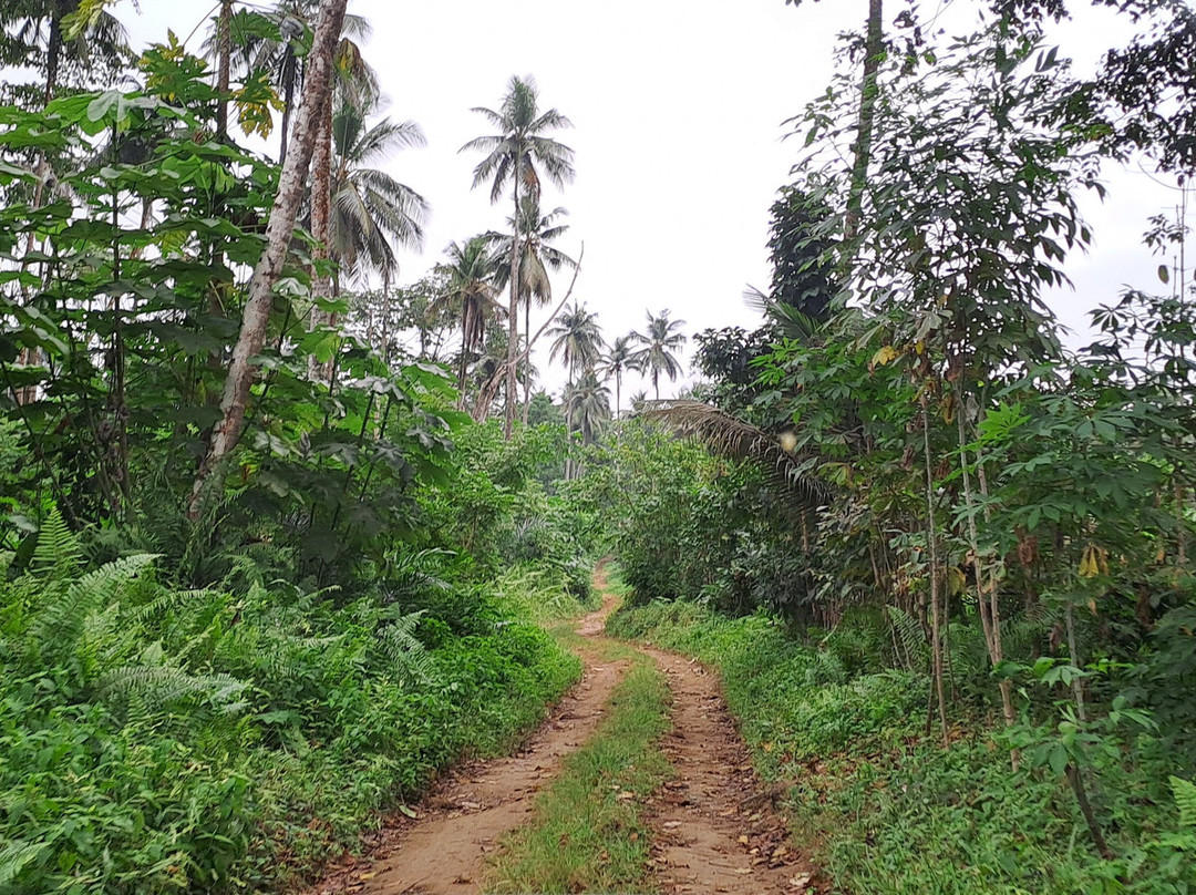 Flávio Boss | Viagem a São Tomé-圣多美必去景点