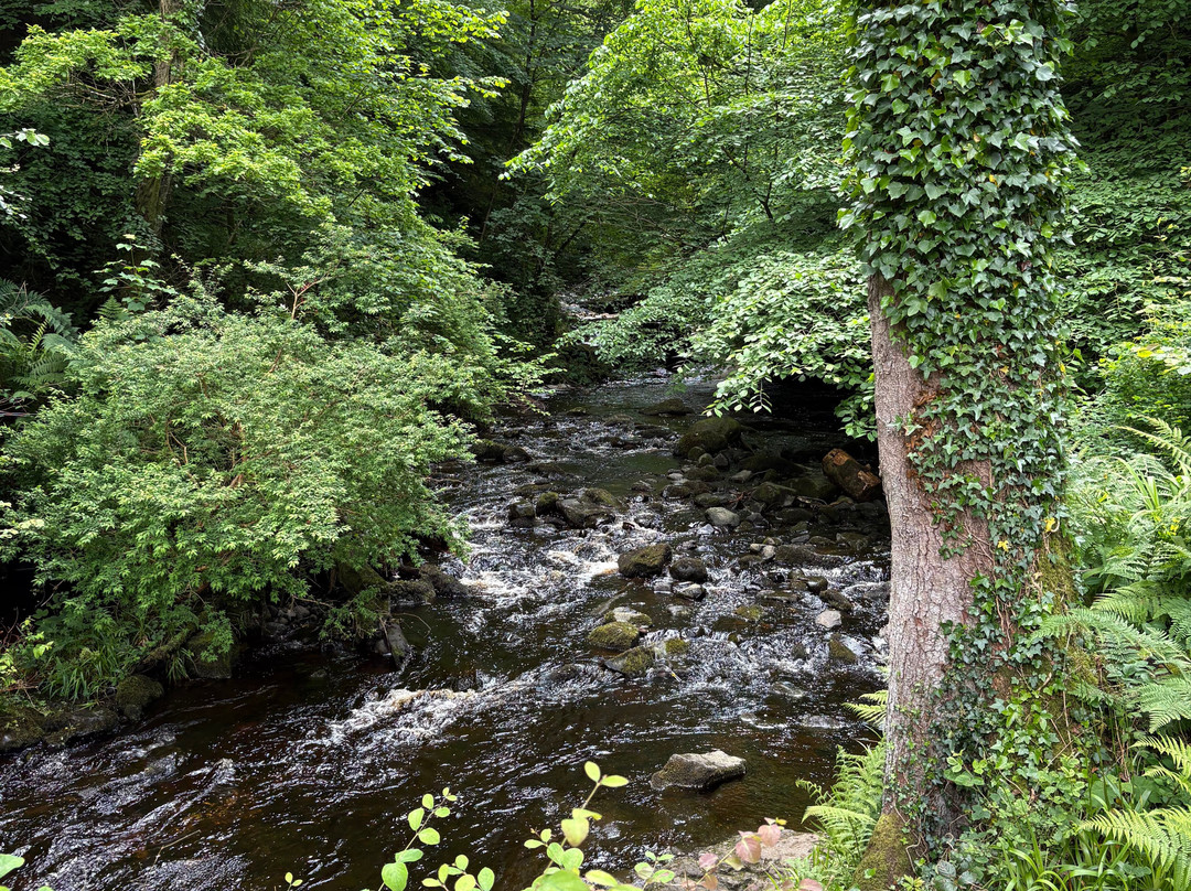 Glenariff Forest Park Caravan Park-Glenariff必去景点