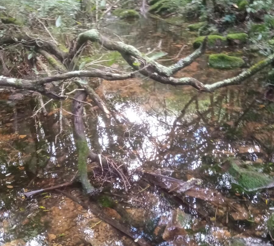 Paseo Sierra de Las Animas-Maldonado必去景点
