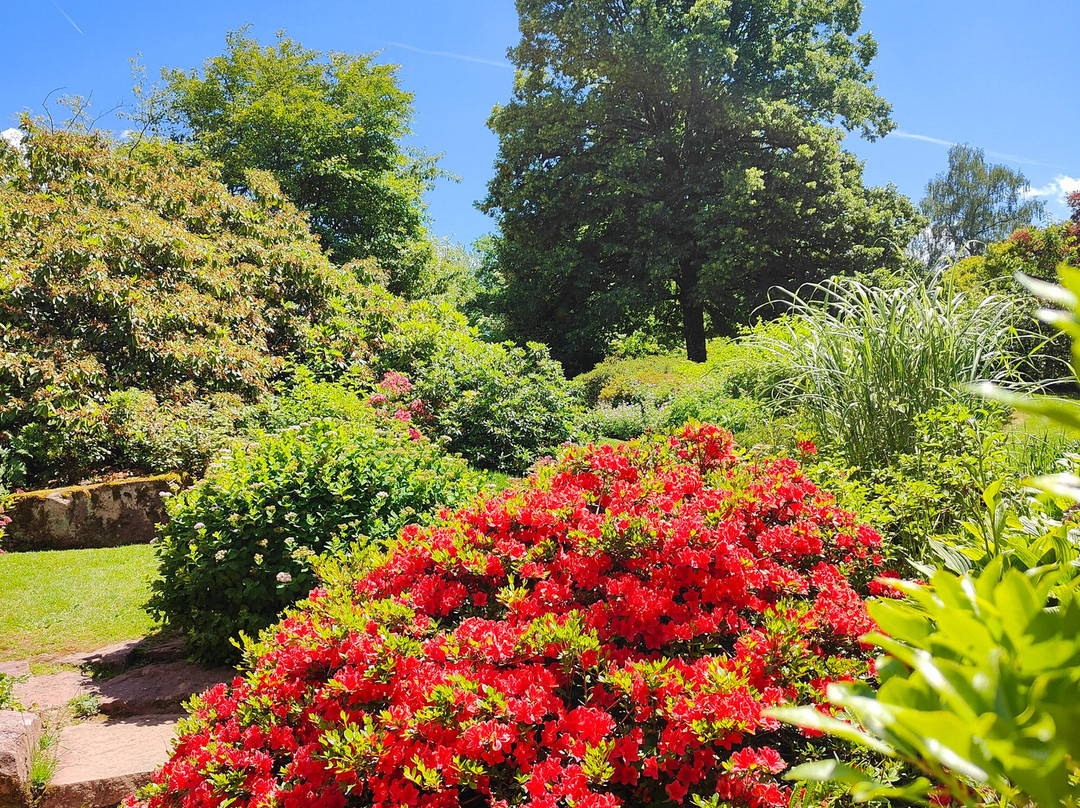 Les Jardins de Callunes-Ban-de-Sapt必去景点