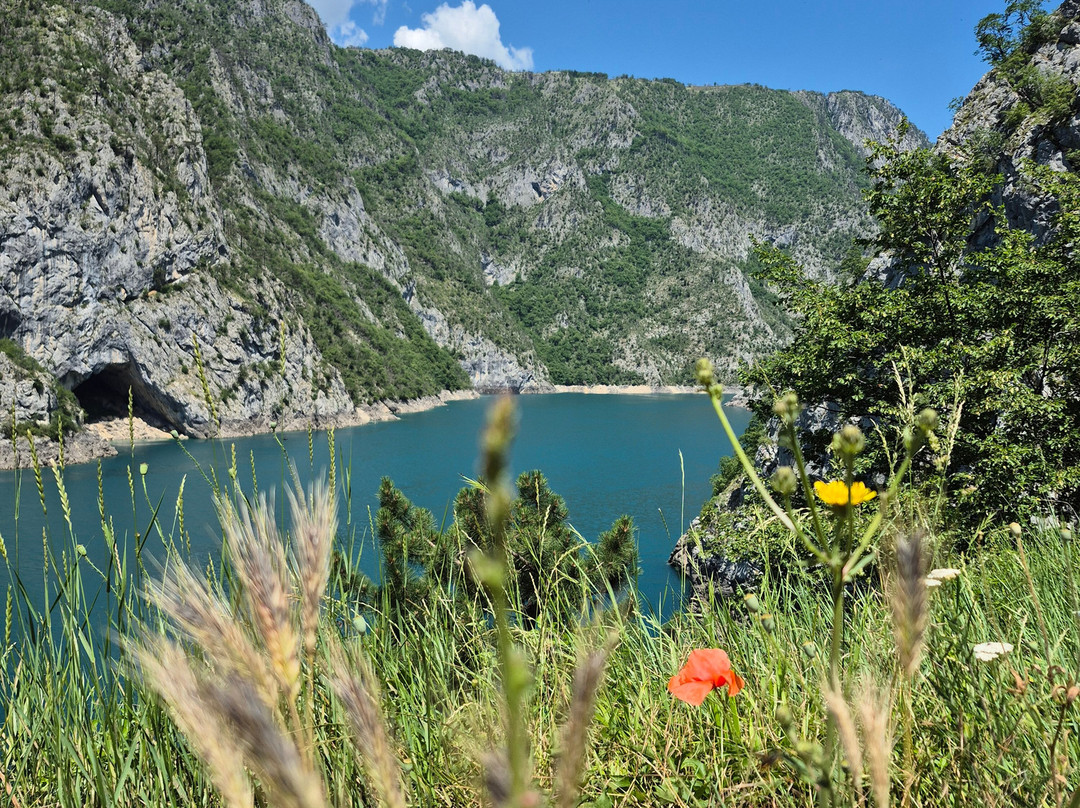 My Montenegro Tours-科托尔必去景点
