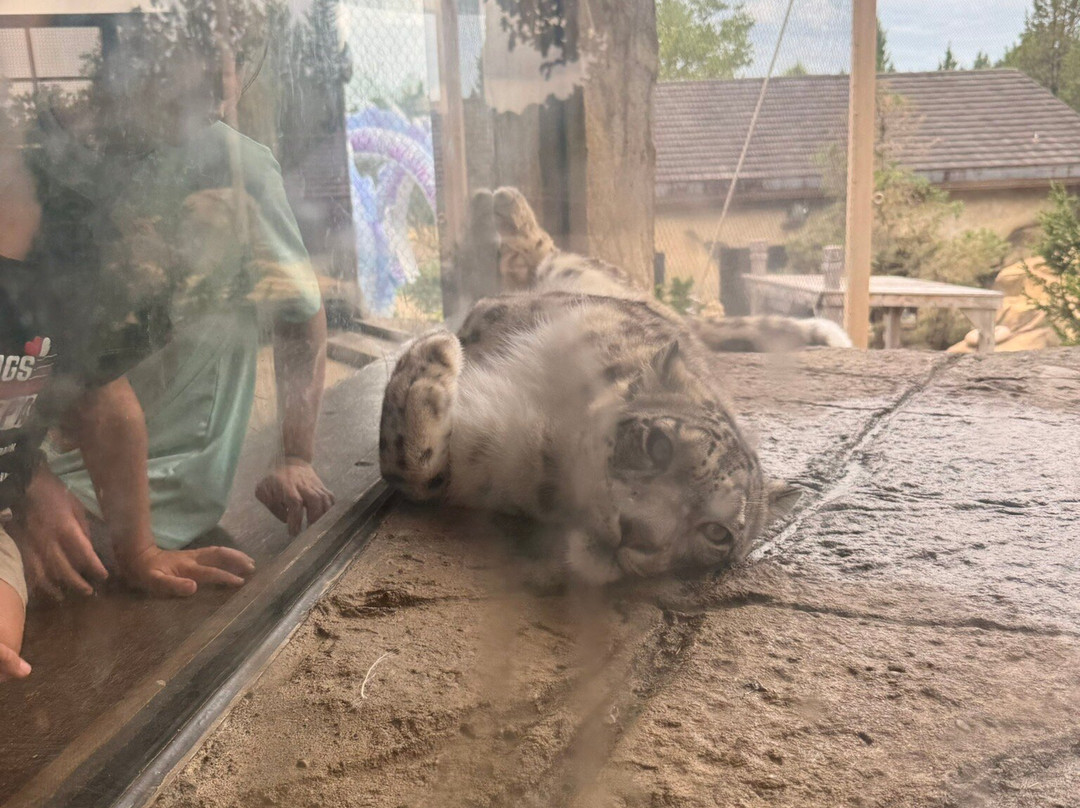 Louisville Zoo-路易斯维尔必去景点