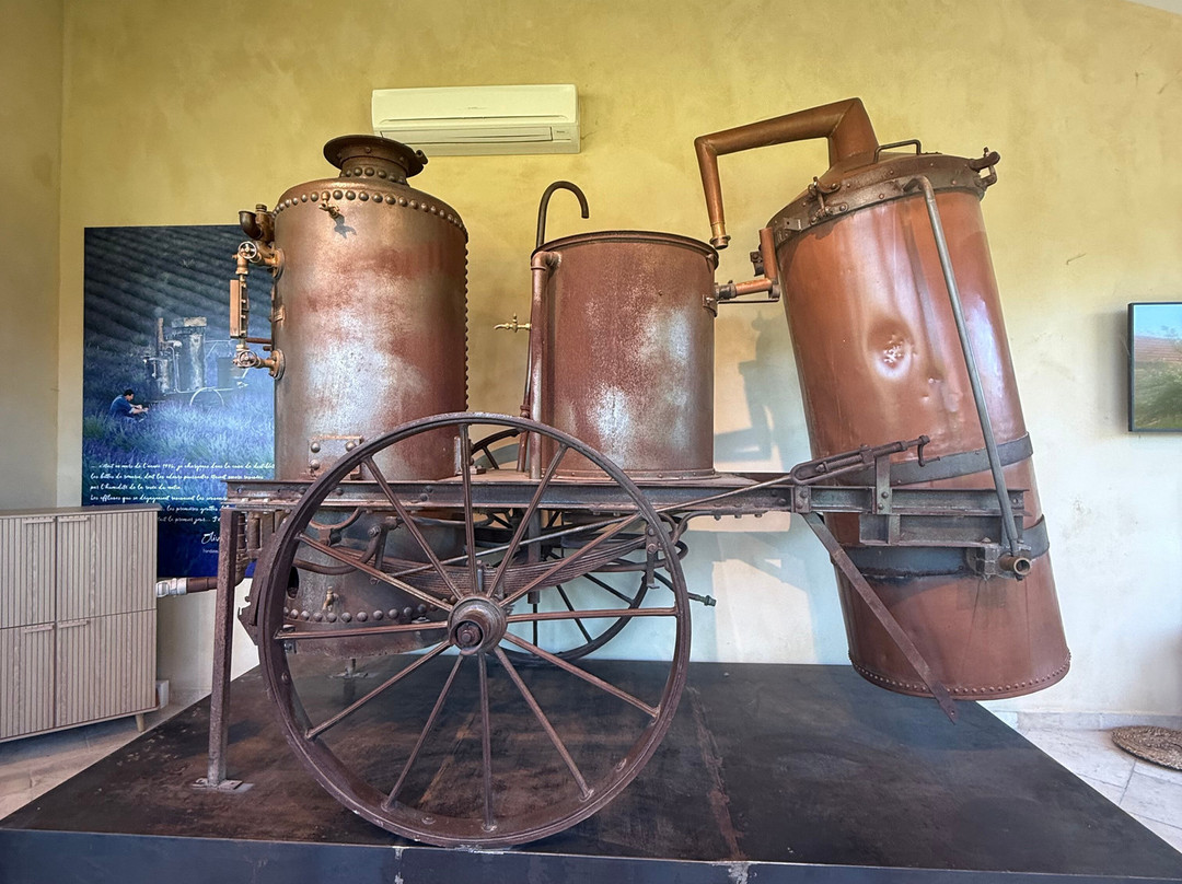 L'Occitane en Provence-马诺斯克必去景点