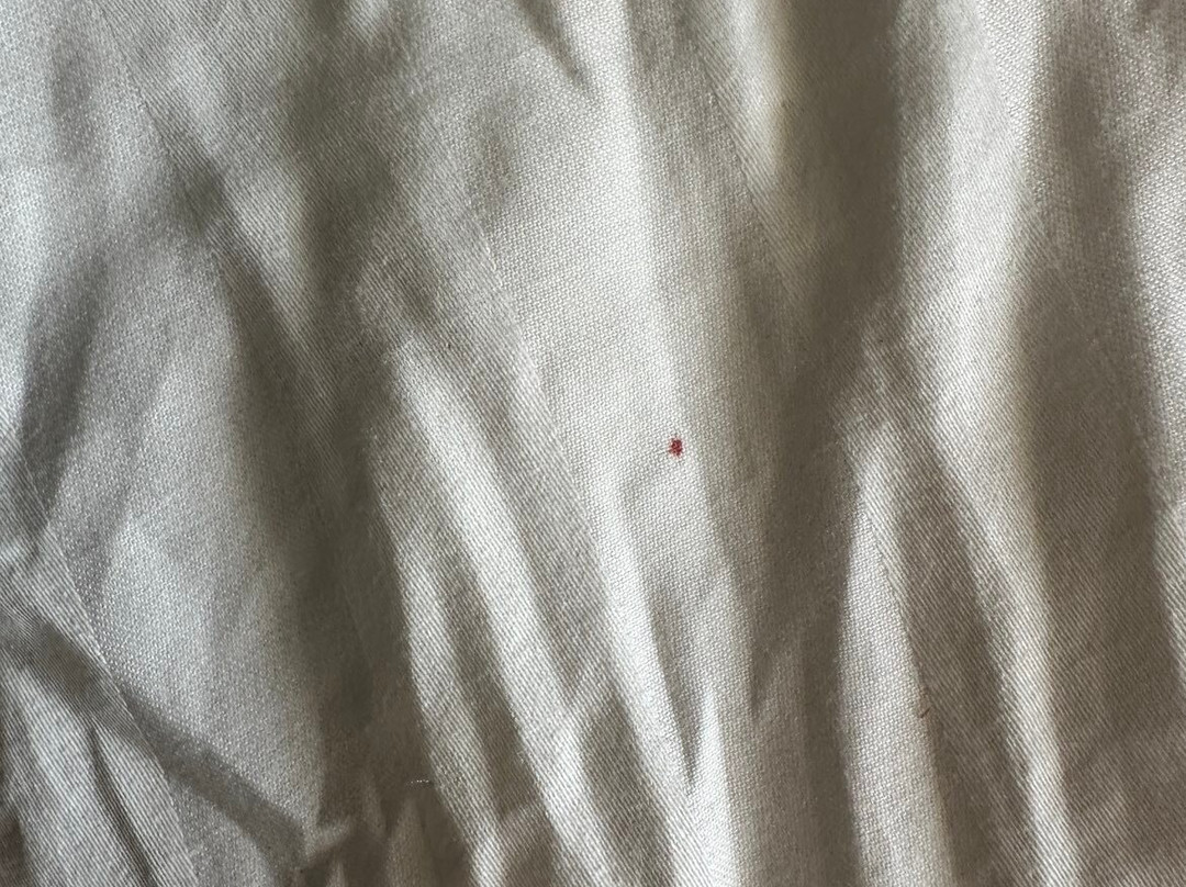 马克西姆酒店主图