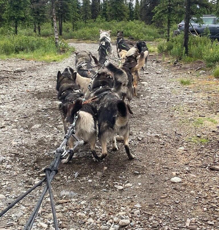 Wildthingz Dog Mushing-费尔班克斯必去景点