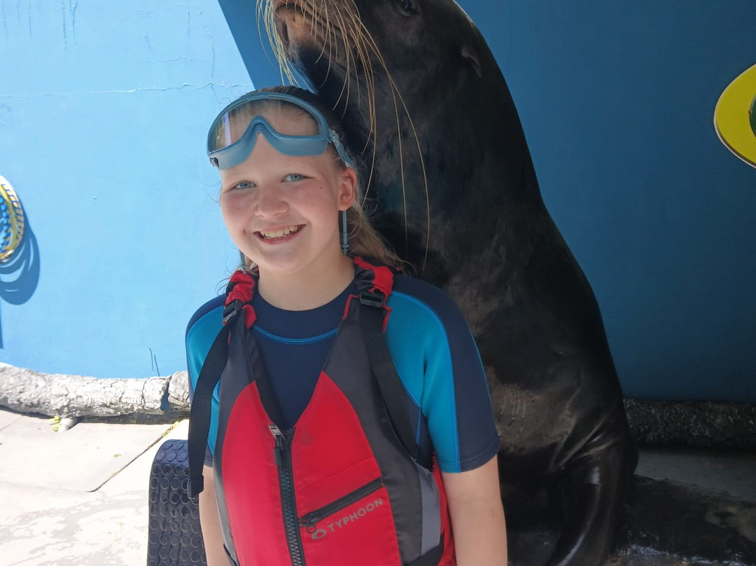Combe Martin Wildlife And Dinosaur Park-伊尔弗勒科姆必去景点