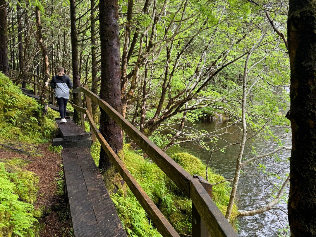Glanteenassig Wood-Castlegregory必去景点