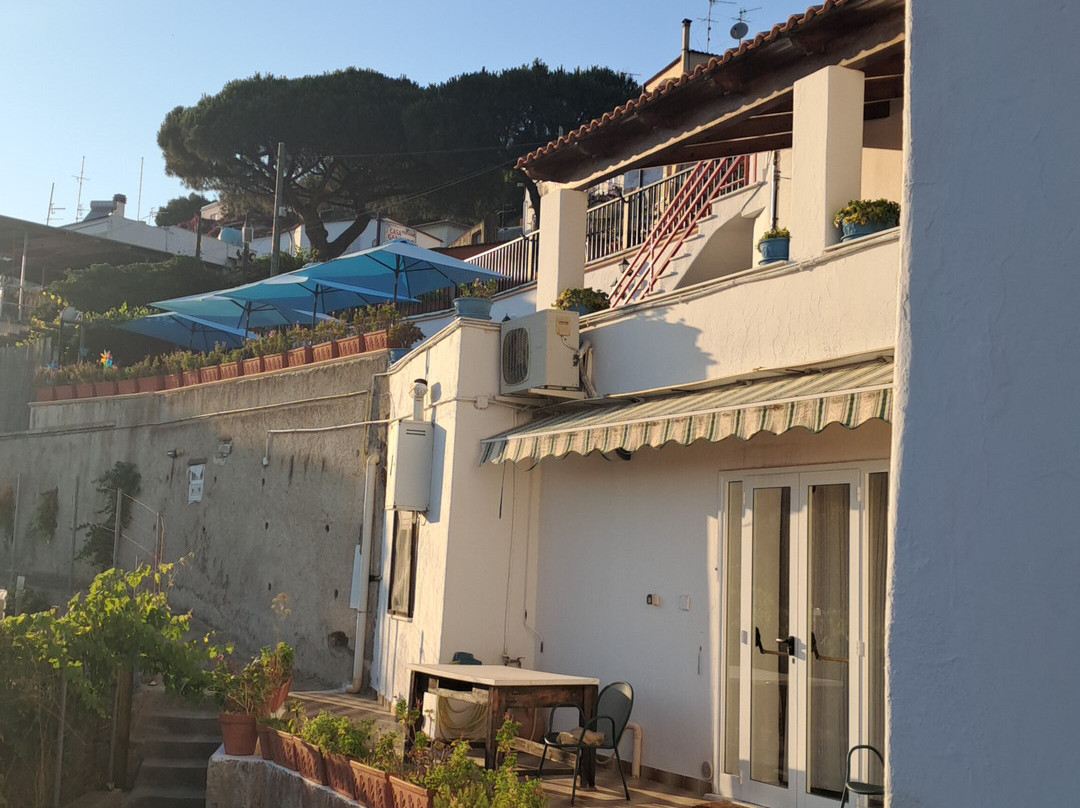 Pensione Casa Gennaro主图