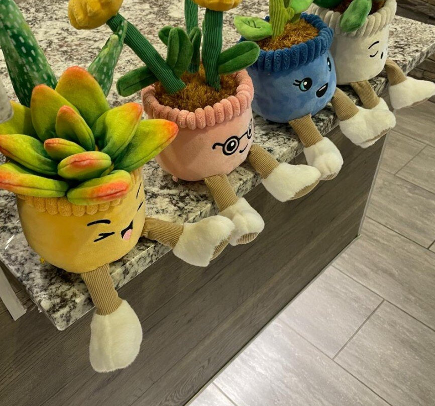 Country Inn & Suites by Radisson, Shoreview-Mounds View, MN主图