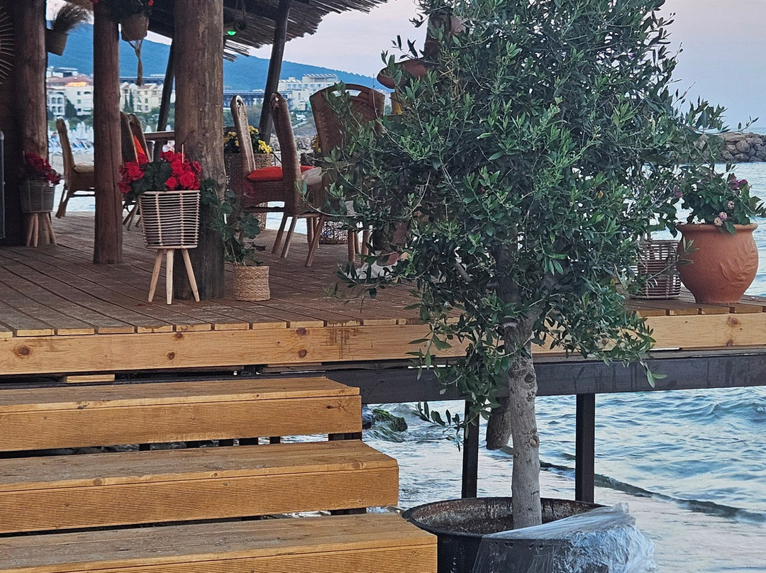 Extreme Surf School and Bar Ravda