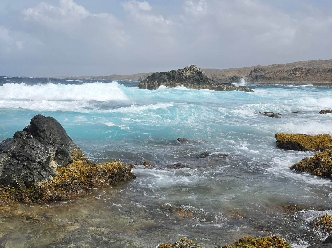 ABC Tours Aruba-奥腊涅斯塔德必去景点