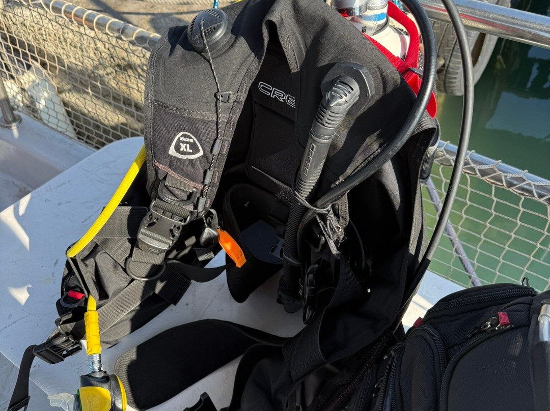 Cyprus Diving Centre-Pernera必去景点