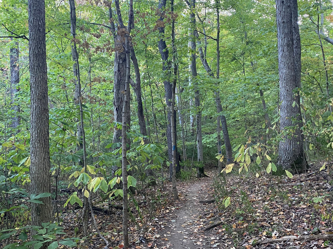 A.W. Marion State Park-Circleville必去景点