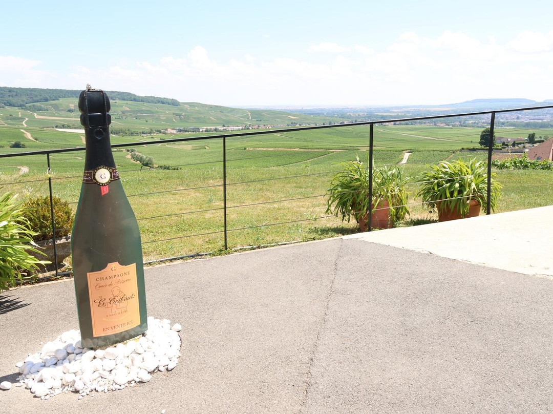 Champagne G. Tribaut-Hautvillers必去景点