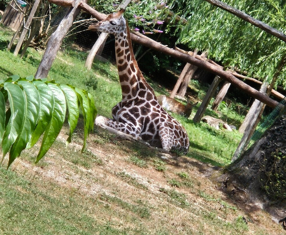 Zoo Ljubljana-卢布尔雅那必去景点