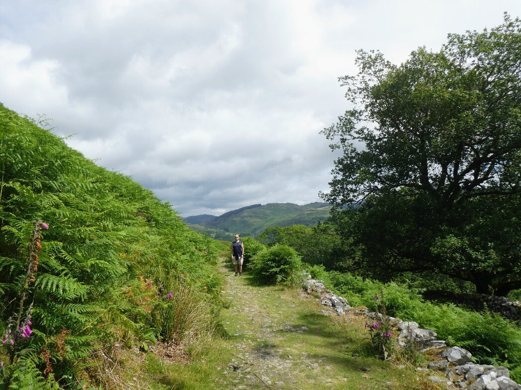 Precipice Walk-Dolgellau必去景点