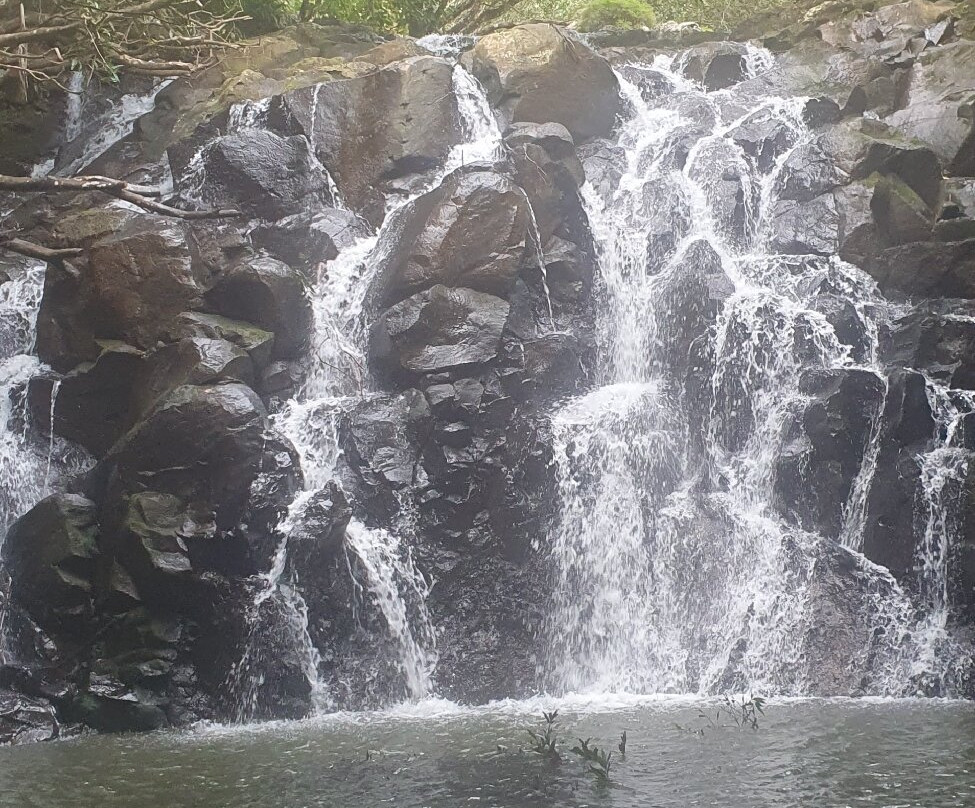 Vallé Advenature Park-Chamouny必去景点
