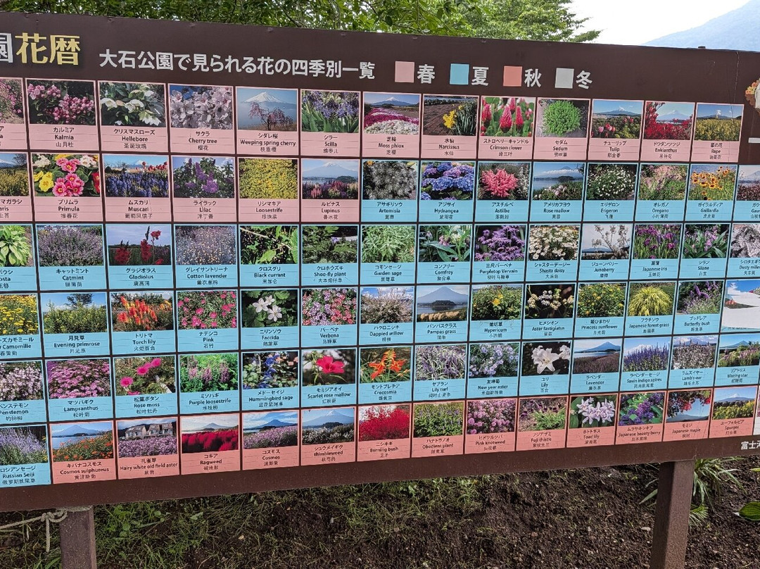 大石公园-富士河口湖町必去景点