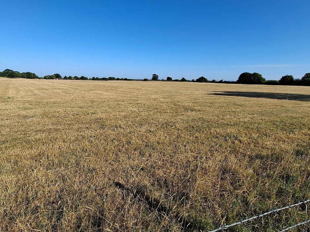 Silchester Roman City Walls and Amphitheatre-Silchester必去景点