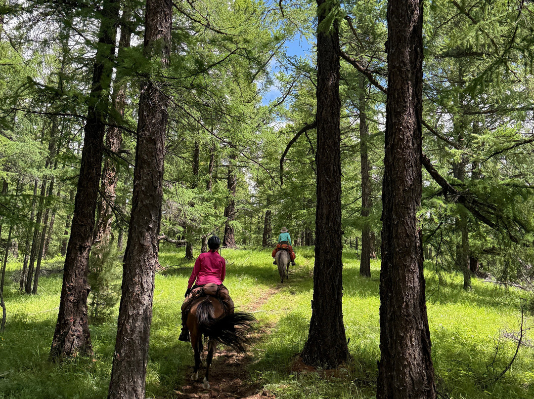 Stone Horse Expeditions & Travel - Day Tours-乌兰巴托必去景点