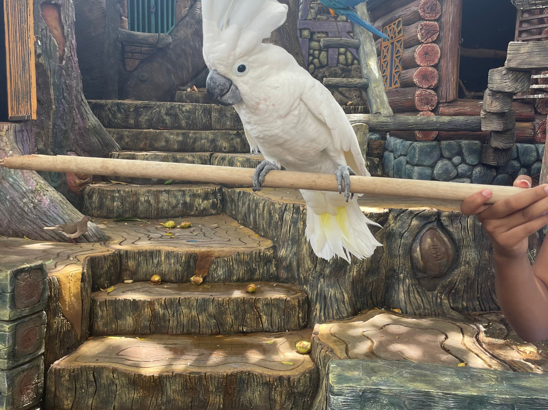 Amazonia: The Jungle Experience Tour-威廉斯塔德必去景点