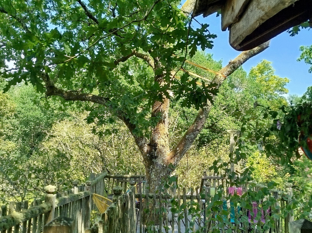 Le Gîte à JT主图