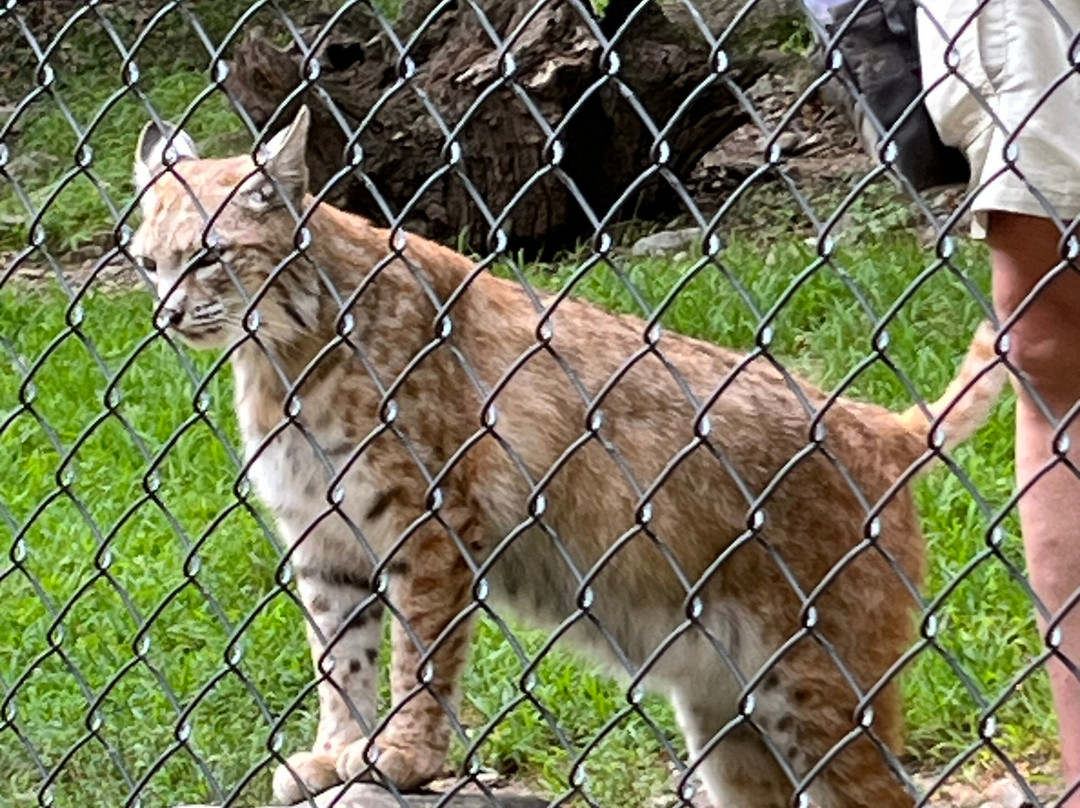 Lakota Wolf Preserve-Columbia必去景点