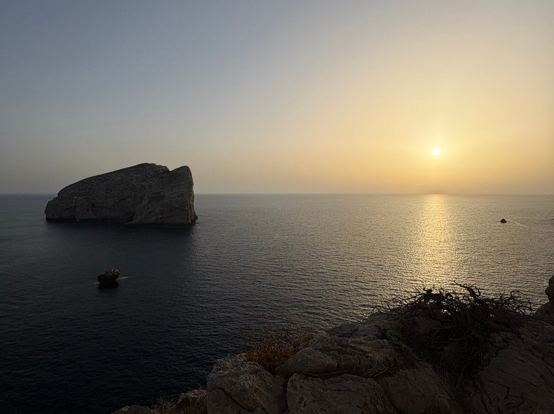 Capo Caccia Vertical Cliffs-阿尔盖罗必去景点
